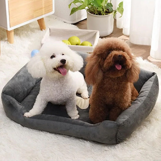 panier à chien pour deux chiens