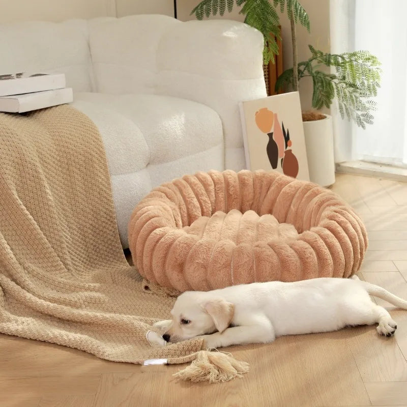 panier-a-chien-repos