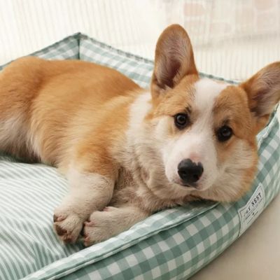 panier-chien-apaisant