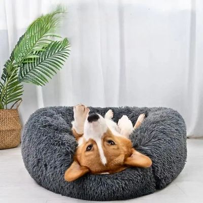 panier chien gris
