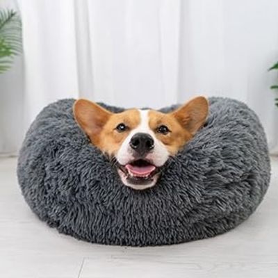 panier chien moelleux
