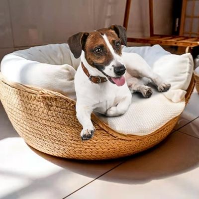 panier chien osier naturel 