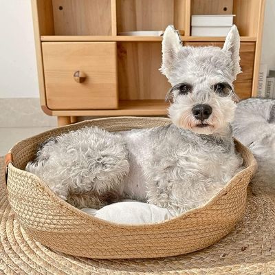 panier chien osier petit chien