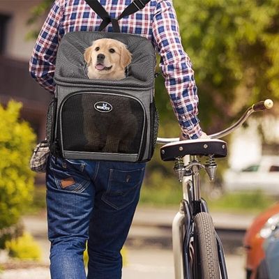 panier velo pour chien balades