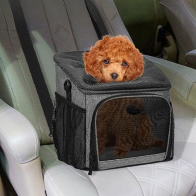 panier velo pour chien confortable