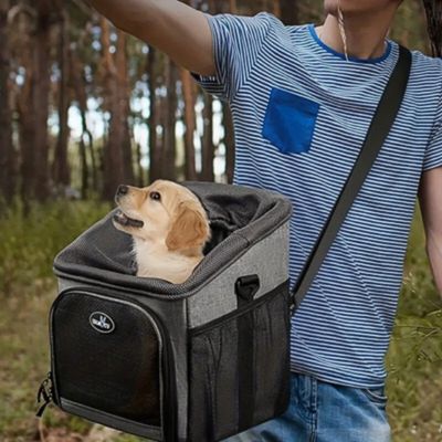 panier velo pour chien sortie