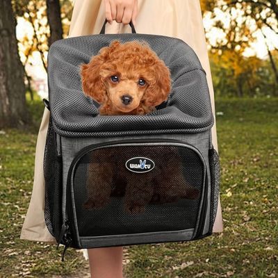 panier velo pour chien style