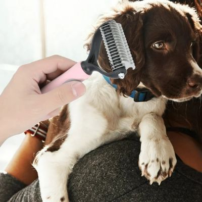 peigne-pour-chien-chiot