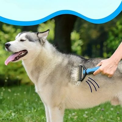 peigne-pour-chien-morts
