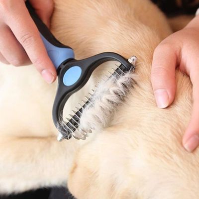 peigne-pour-chien-retrait