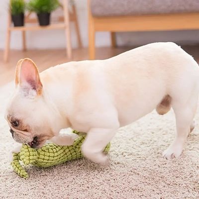 peluche-pour-chien-amusante