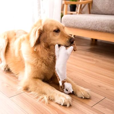 peluche-pour-chien-amusement