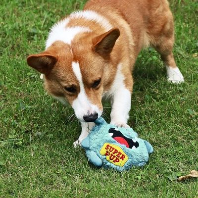 peluche-pour-chien-divertissante