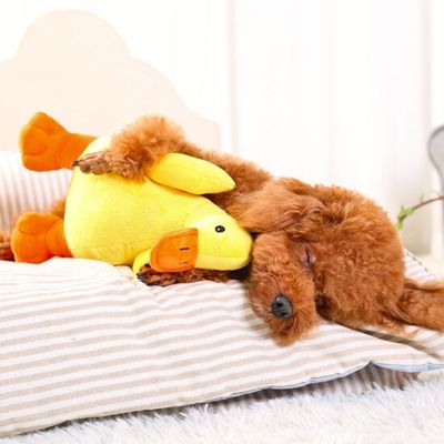 peluche-pour-chien-relaxer