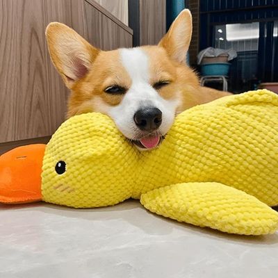 peluche-pour-chien-repos
