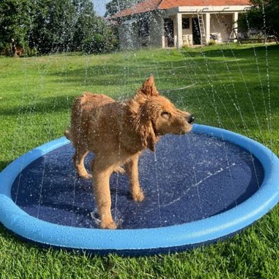 piscine-pour-chien-hydrate