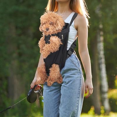 sac-a-dos-chien-avant