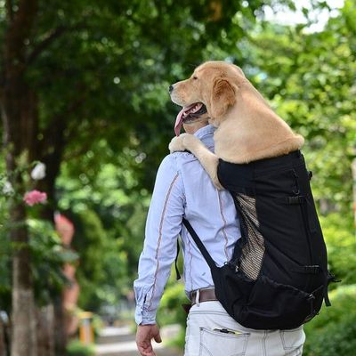 sac-a-dos-chien-confort