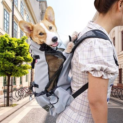 sac-a-dos-chien-gris