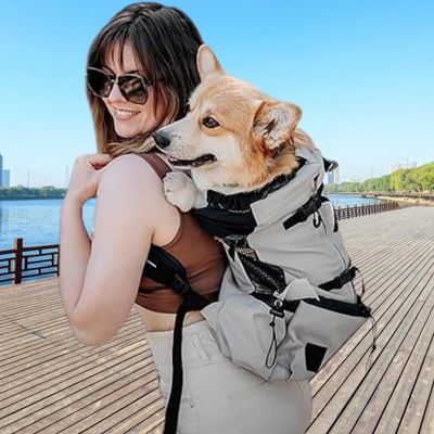 sac-a-dos-chien-promenade