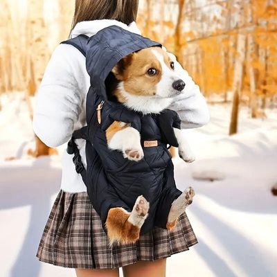 sac-a-dos-pour-chien-arbre