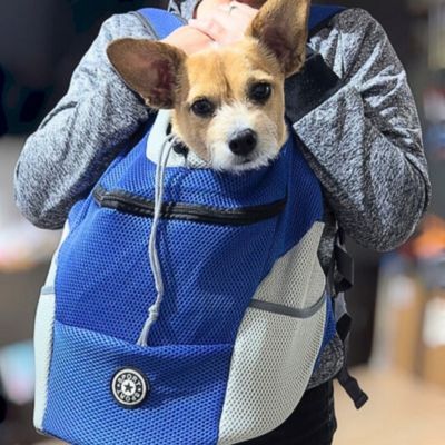 sac a dos pour chien bleu