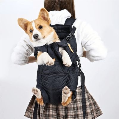 sac-a-dos-pour-chien-confort