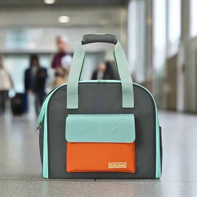sac a dos pour chien gare