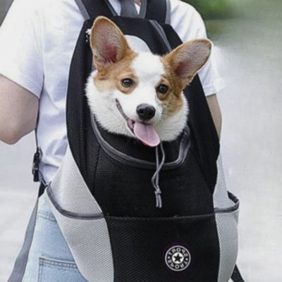 sac a dos pour chien noir