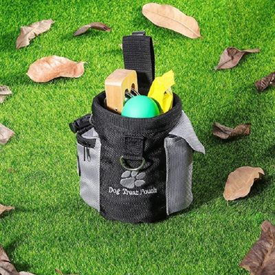 sac-a-friandises-pour-chien-plein