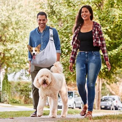 sac-de-transport-pour-chien-famille