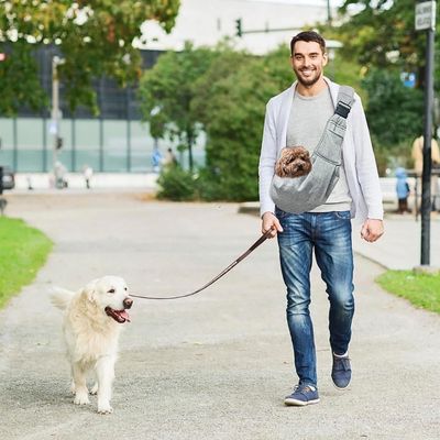 sac-de-transport-pour-chien-golden