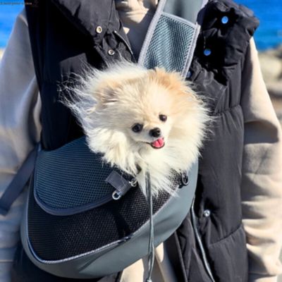 sac-de-transport-pour-chien-noir