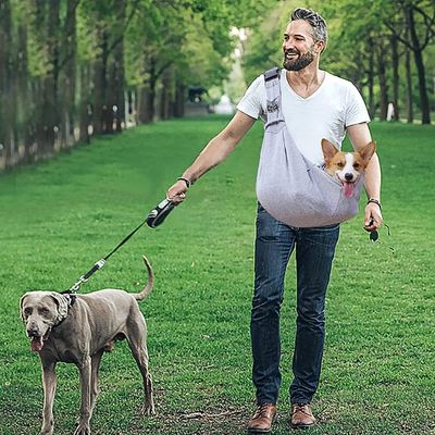 sac-de-transport-pour-chien-promenades