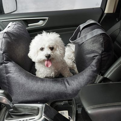 sac-transport-chien-voiture