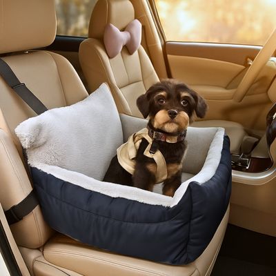 siege-auto-chien-gris
