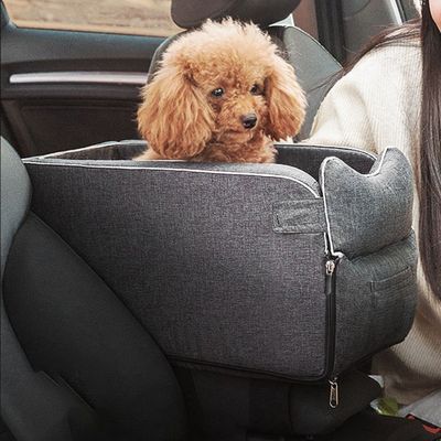 siege-auto-chien-serein