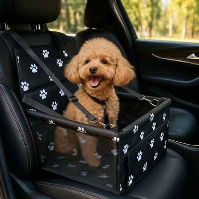 siege-auto-pour-chien-caniche