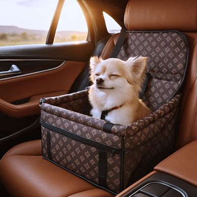 siege-auto-pour-chien-caramel
