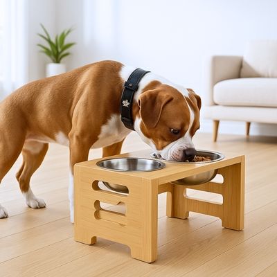 support-gamelle-pour-chien-double