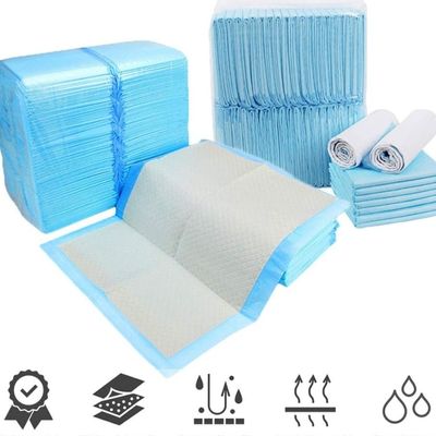 tapis-absorbant-chien-dressage