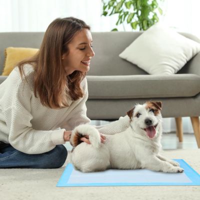 tapis-absorbant-chien-etanche