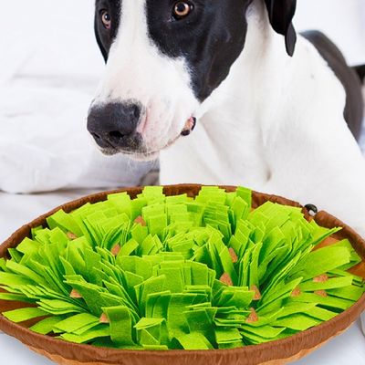tapis-de-fouille-chien-couleur