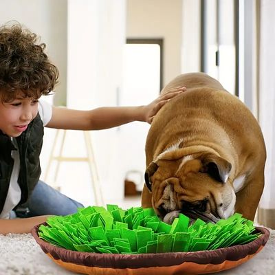 tapis-de-fouille-chien-mental