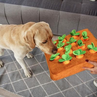 tapis-de-fouille-pour-chien-mental