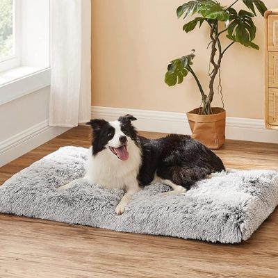 tapis-pour-chien-douillet