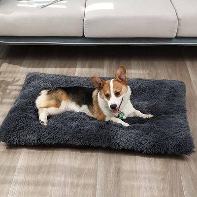tapis-pour-chien-fonce