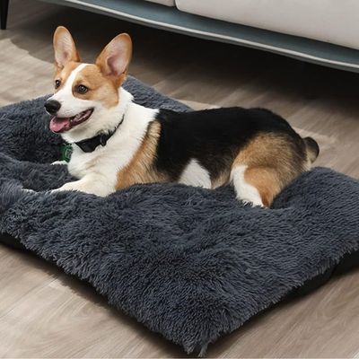 tapis-pour-chien-lavable