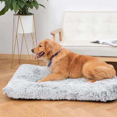 tapis-pour-chien-moelleux