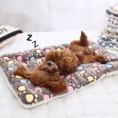 tapis-pour-chien-serein